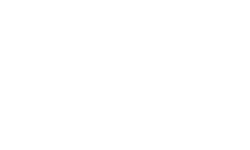 GAME AIVIS